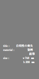 title : 自明性の喪失 material : 染料 鉛筆 size : ｗ760 ㎜ ｈ380 ㎜ 