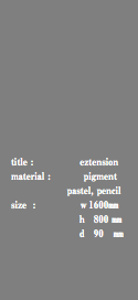  title : eztension material : pigment pastel, pencil size : ｗ1600㎜ ｈ 800 ㎜ ｄ 90 ㎜