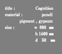 title : Cognition material : pencil pigment , gypsum size : ｗ 800 ㎜ ｈ1600 ㎜ ｄ 50 ㎜